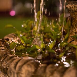 גני אירועים באזור המרכז